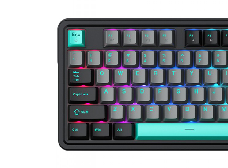 Z590